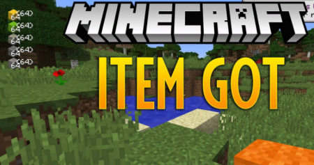  Item Got  Minecraft 1.12.2