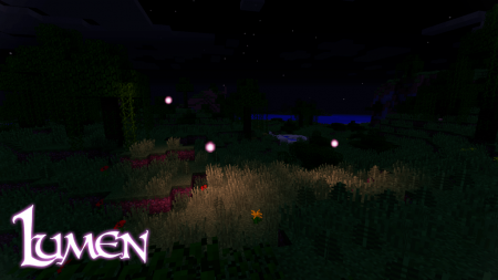  Lumen  Minecraft 1.14.3