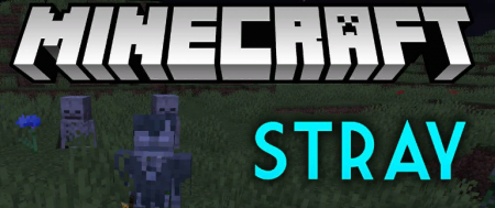  Stray Spawn  Minecraft 1.12.2