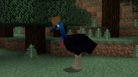  Exotic Birds  Minecraft 1.11.2