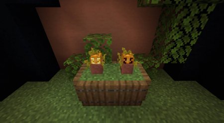  Florist  Minecraft 1.14