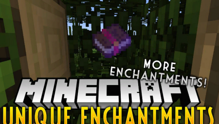  Unique Enchantments  Minecraft 1.12