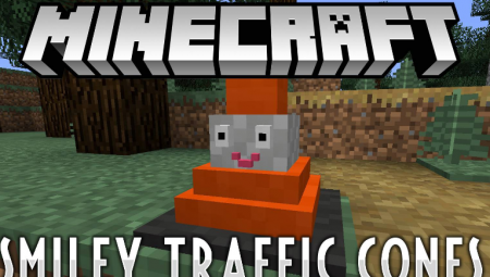  Smiley Traffic Cones  Minecraft 1.12