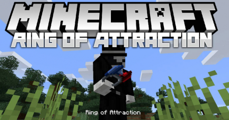  Ring of Attraction  Minecraft 1.15