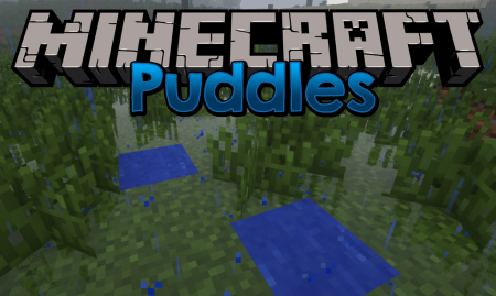  Puddles  Minecraft 1.15