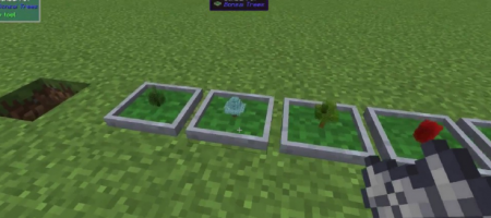  Bonsai Trees  Minecraft 1.14