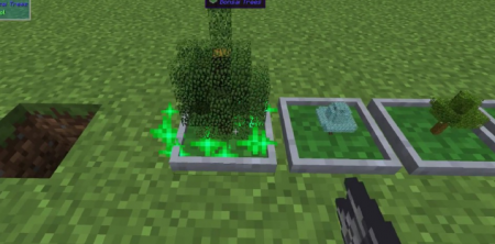  Bonsai Trees  Minecraft 1.14.4