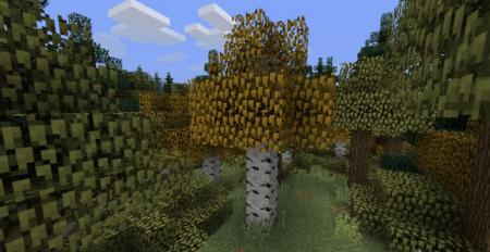  Biomes O Plenty  Minecraft 1.15.1