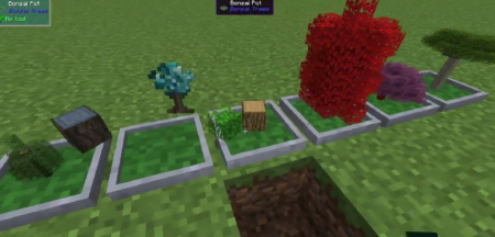  Bonsai Trees  Minecraft 1.15