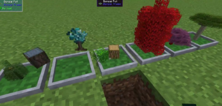  Bonsai Trees  Minecraft 1.15.2