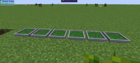  Bonsai Trees  Minecraft 1.15.2