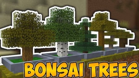  Bonsai Trees  Minecraft 1.15.2