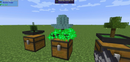  Bonsai Trees  Minecraft 1.15.2