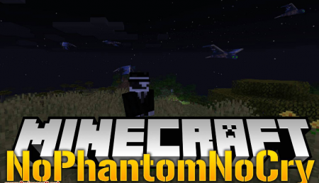  NoPhantomNoCry  Minecraft 1.14.4