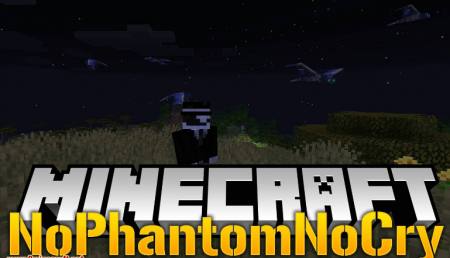  NoPhantomNoCry  Minecraft 1.15.1