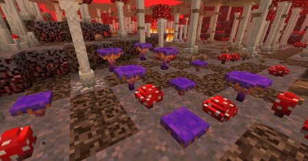  Better Nether  Minecraft 1.15.2