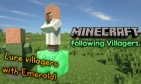  Following Villagers  Minecraft 1.15.2