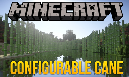  Configurable Cane  Minecraft 1.15.1