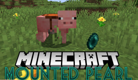  Mounted Pearl  Minecraft 1.15.1