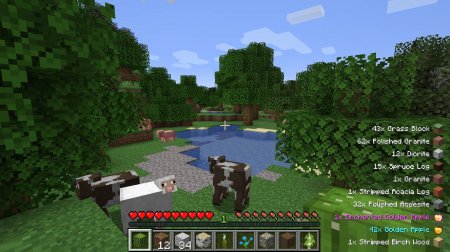  Pick Up Notifier  Minecraft 1.15