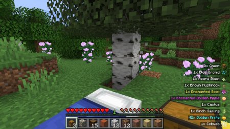  Pick Up Notifier  Minecraft 1.15