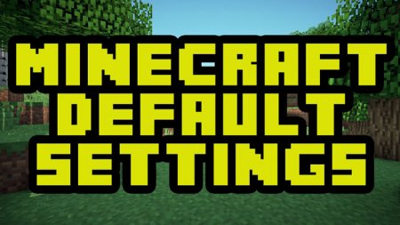  Default Options  Minecraft 1.14.4