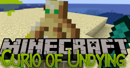  Curio of Undying  Minecraft 1.14.4