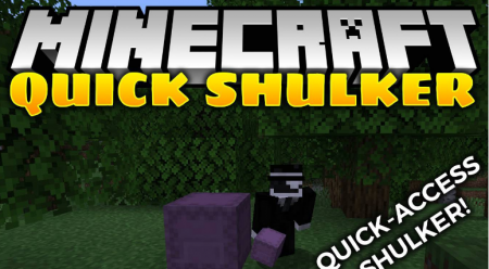  Quick Shulker  Minecraft 1.15