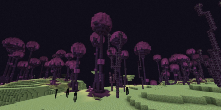  The Endergetic Expansion  Minecraft 1.15.2