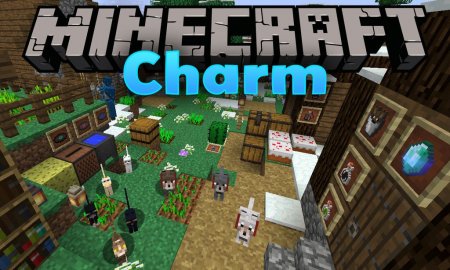  Charm  Minecraft 1.14.4