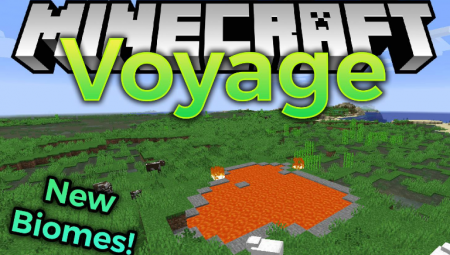  Voyage  Minecraft 1.14.4