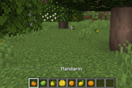  Fruit Trees  Minecraft 1.15