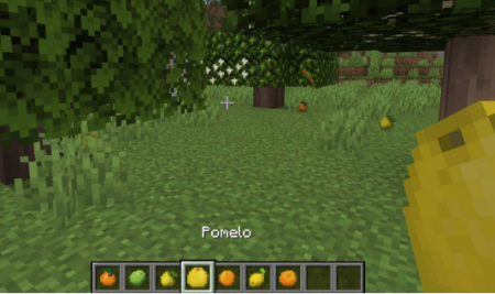  Fruit Trees  Minecraft 1.15