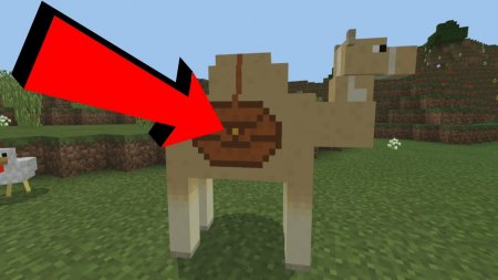  Camels  Minecraft 1.15