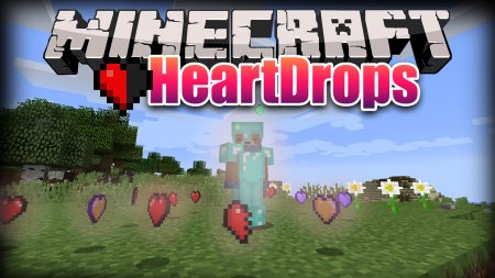  HeartDrops  Minecraft 1.12