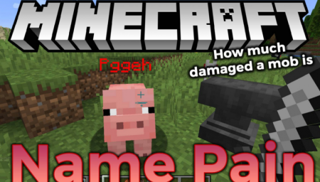  Name Pain  Minecraft 1.16