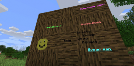  Graffiti  Minecraft 1.15.2