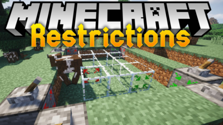  Restrictions  Minecraft 1.12.2