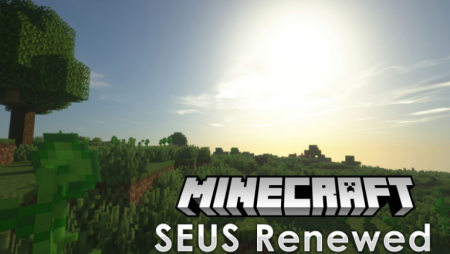  SEUS Renewed Shaders  Minecraft 1.12.2