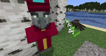  Enchant with Mobs  Minecraft 1.15.2