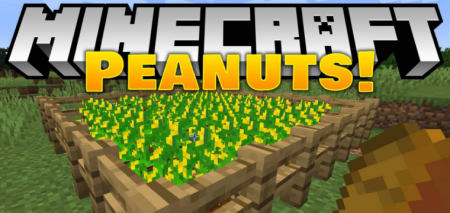  Peanuts  Minecraft 1.16