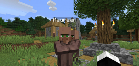  Villager Names  Minecraft 1.16