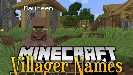  Villager Names  Minecraft 1.16.1