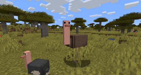  Simple Ostriches  Minecraft 1.15