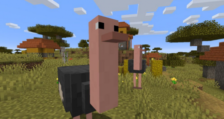  Simple Ostriches  Minecraft 1.15