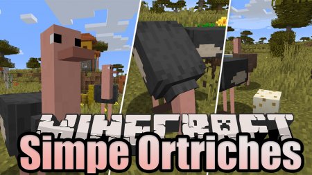  Simple Ostriches  Minecraft 1.15