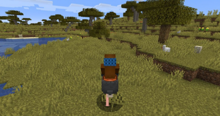  Simple Ostriches  Minecraft 1.15