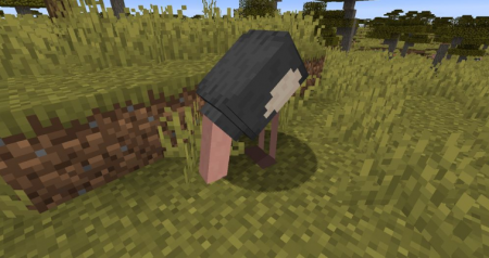  Simple Ostriches  Minecraft 1.15