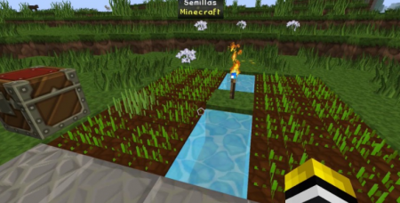  Torcherino  Minecraft 1.15.2