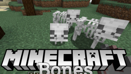  Bones  Minecraft 1.15.2